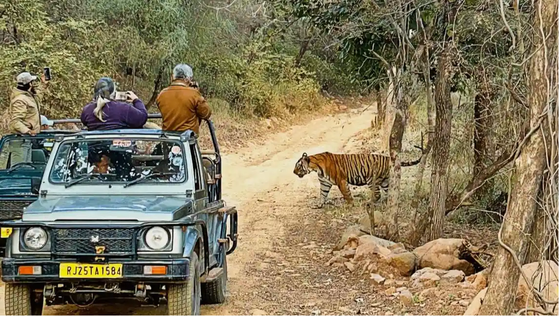 Ranthambore National Park
